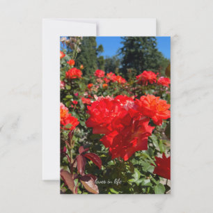 Orange Roses, Blue Sky Card