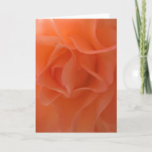 Orange roses card