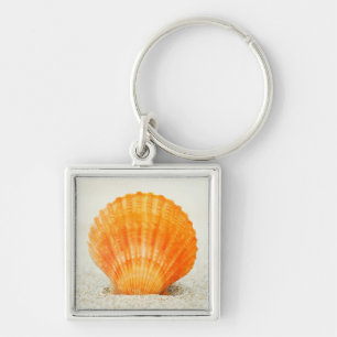 Orange Scallop Shell Standing Upright In Sand Key Ring