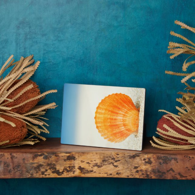 Orange Scallop Shell Standing Upright In Sand Plaque (Side)