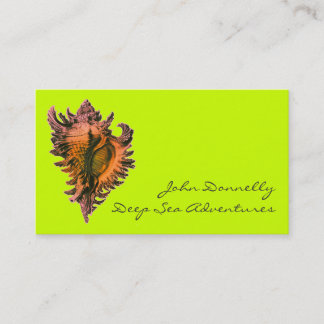 Orange Sea Shell Business Cards