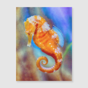 Orange Seahorse delight