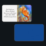 Orange Seahorse delight Business Card<br><div class="desc">A bright orange seahorse with detailed white markings is a delightful find at the Birch Aquarium at Scripps in San Diego, CA. Photo by Ruth Jolly. Text can be customised to meet your needs.</div>