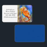 Orange Seahorse delight Business Card<br><div class="desc">A bright orange seahorse with detailed white markings is a delightful find at the Birch Aquarium at Scripps in San Diego,  CA. Photo by Ruth Jolly. Text can be customised to meet your needs.</div>