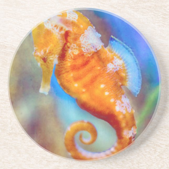 Orange Seahorse delight Coaster (Front)