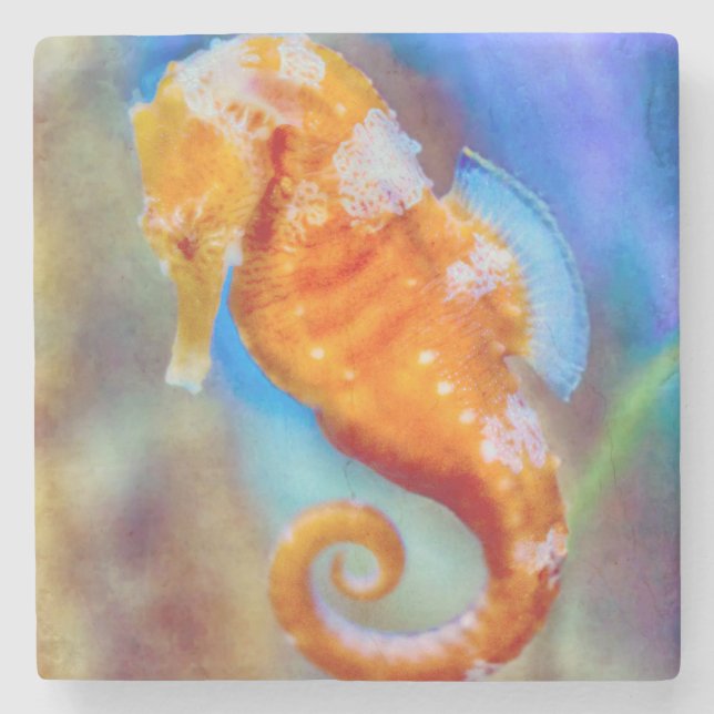 Orange Seahorse delight Stone Coaster (Front)