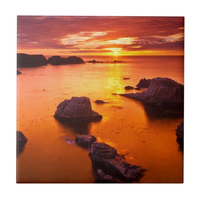 Orange seascape, sunset, California Tile (Front)