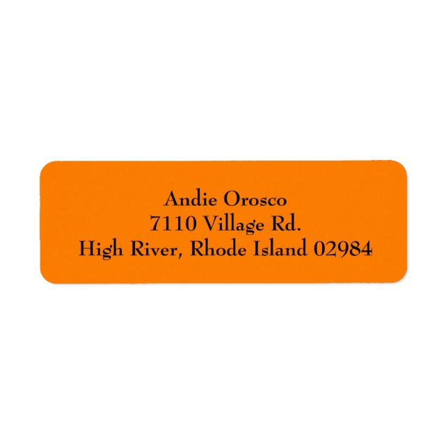 Orange Simple Plain Return Address Labels (Front)