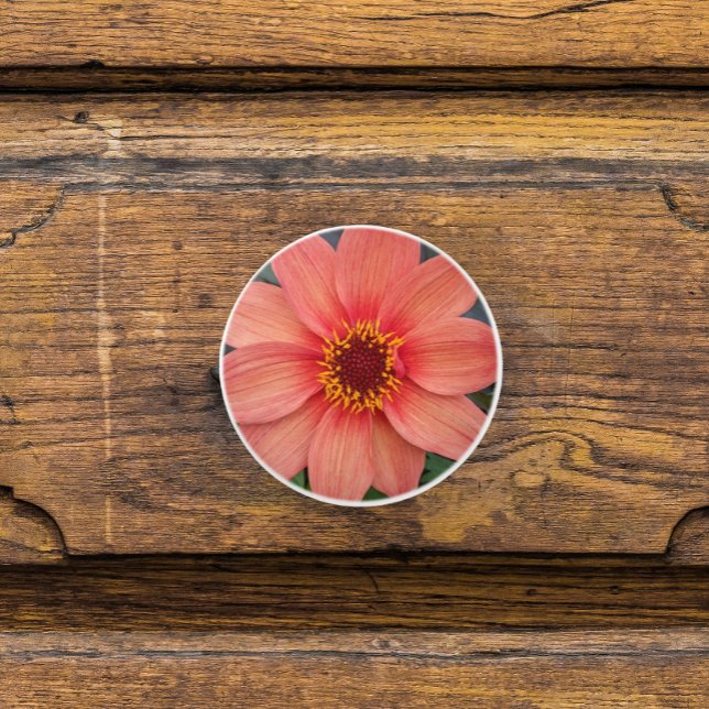 Orange Single Dahlia Floral Ceramic Knob (In Situ)