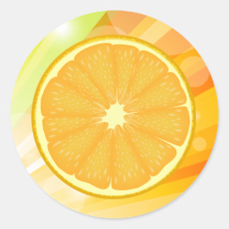 Orange Slice Citrus Fruit Classic Round Sticker