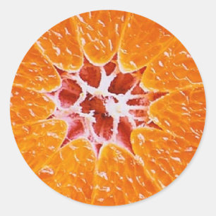 Orange slice classic round sticker