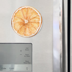 Orange Slice Fruit Magnet