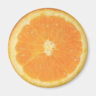Orange Slice Magnet