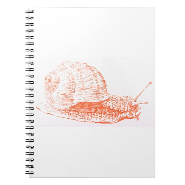 Orange Snail Drawing Notebook (Front)
