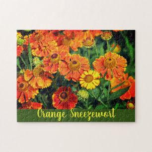 Orange Sneezeweed Helenium Garden Flowers Jigsaw Puzzle