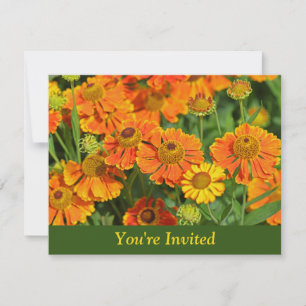 Orange Sneezewort Flowers Surprise Birthday Invitation