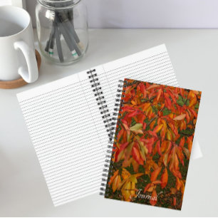 Orange Sourwood Autumn Leaves Botanical Notebook