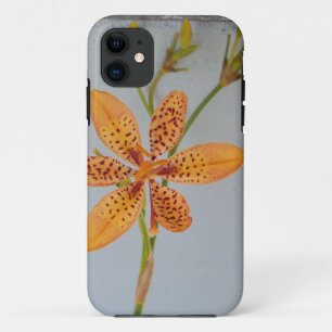 Orange spotted Iris called a Blackberry lily iPhone 11 Case
