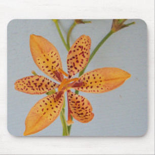 Orange spotted Iris called a Blackberry lily Mouse Mat