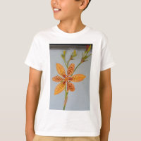 Orange spotted Iris called a Blackberry lily