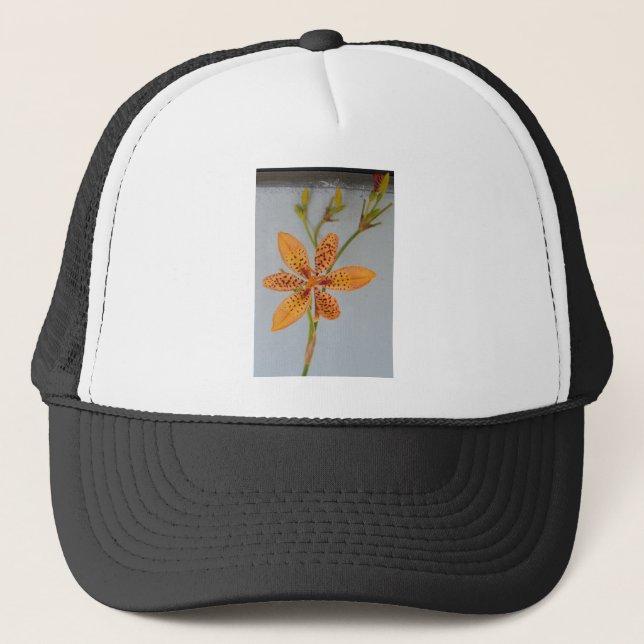 Orange spotted Iris called a  Blackberry lily Trucker Hat (Front)