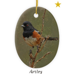 Orange Spotted Towhee Bird Painting Year Christmas Ceramic Tree Decoration