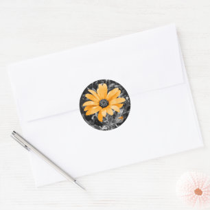 Orange Spring Daisy Photograph on Monochrome Classic Round Sticker