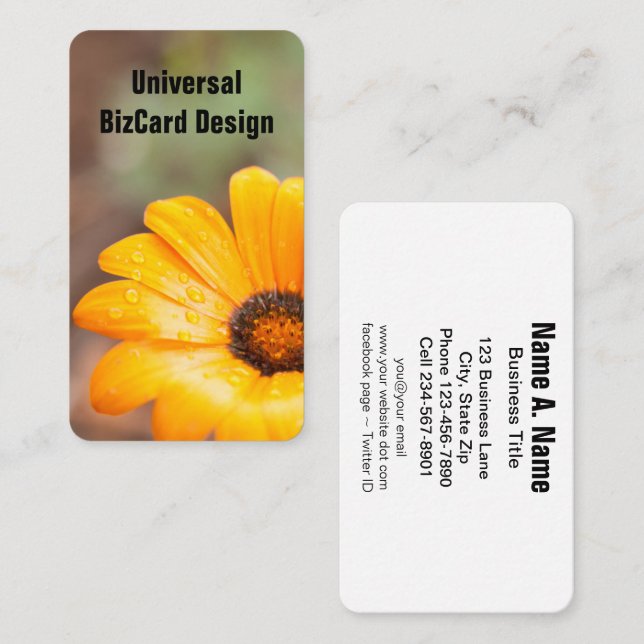 Orange Spring Flash African Daisy Close Up Business Card (Front/Back)