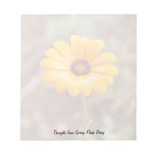 Orange Spring Flash African Daisy Flower Photo Notepad
