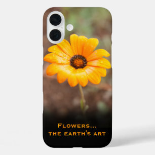 Orange Spring Flash African Daisy Photo Custom iPhone 16 Plus Case