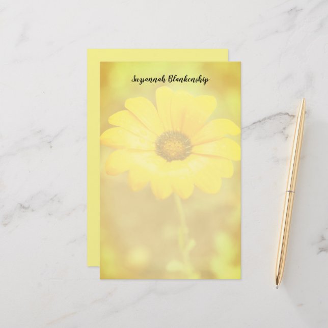 Orange Spring Flash African Daisy Photo Custom Stationery (Front/Back In Situ)