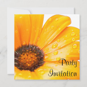 Orange Spring Flash African Daisy Photo Invitation