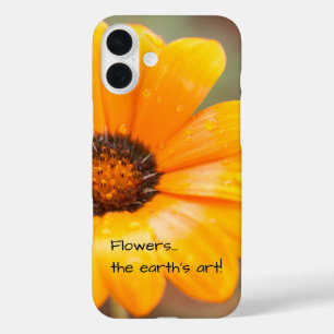 Orange Spring Flash African Daisy Photograph iPhone 16 Plus Case