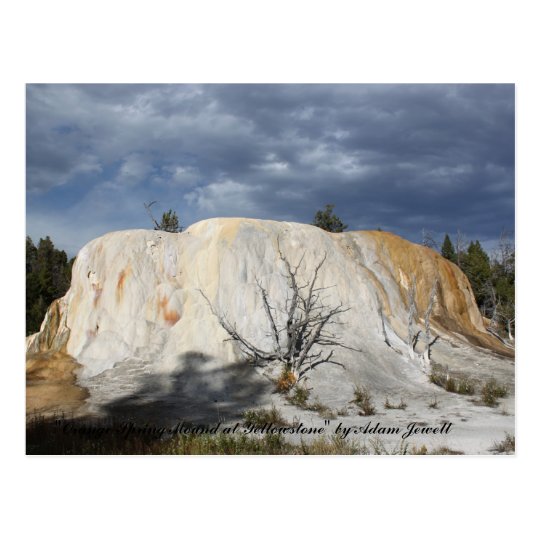 Orange Spring Mound Post Card