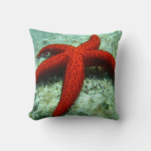 Orange Starfish Nautical Beach Cushion