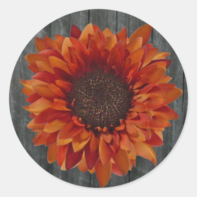 Orange Sunflower & Barnwood Sticker (Front)