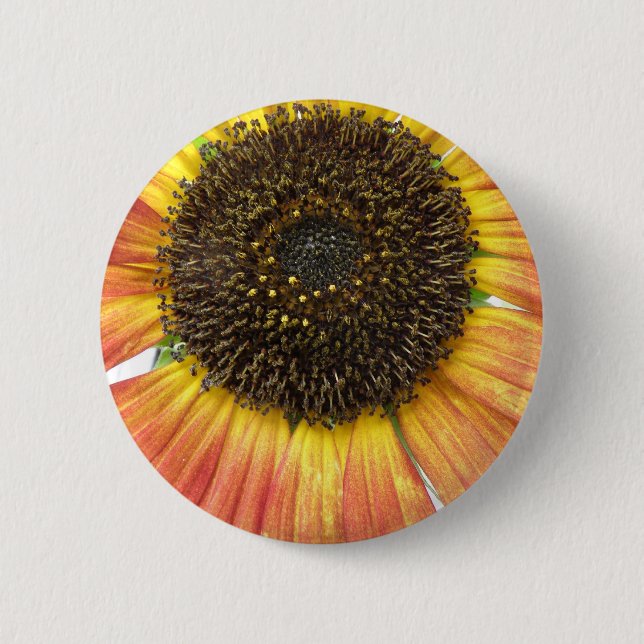 Orange Sunflower Button (Front)
