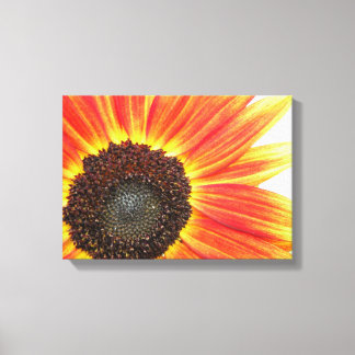 Orange Sunflower Canvas Print