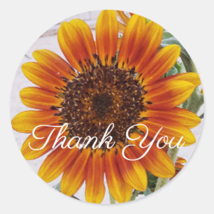 Orange Sunflower Thank You Sticker