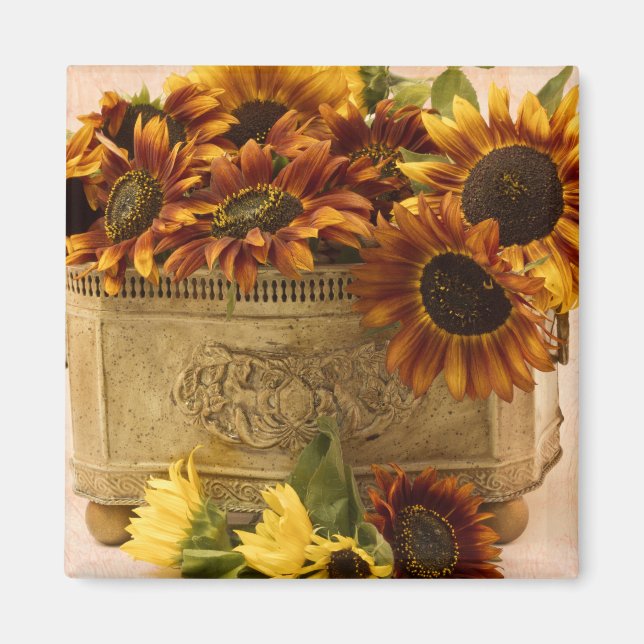 Orange Sunflowers In Tin Basket Magnet (Front)