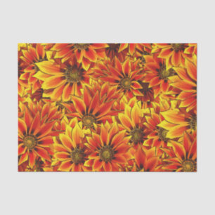 Orange Sunflowers Tissue Paper