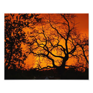Orange Sunset Photo Print