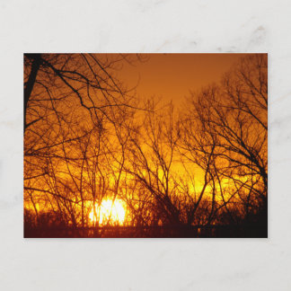 ORANGE SUNSET POSTCARD