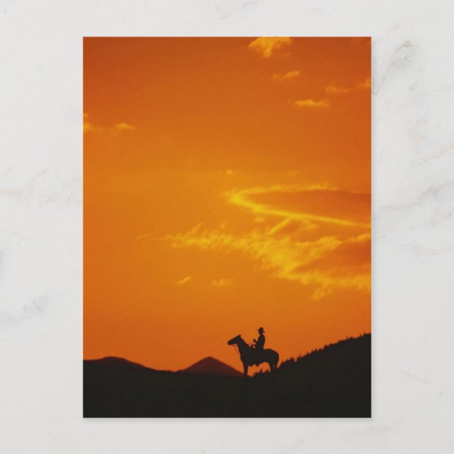 Orange Sunset with Cowboy Silhouette Postcard (Front)