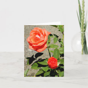 Orange Sunshine.... Card