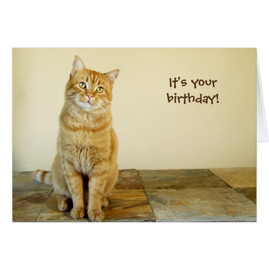 Orange Tabby Birthday Card