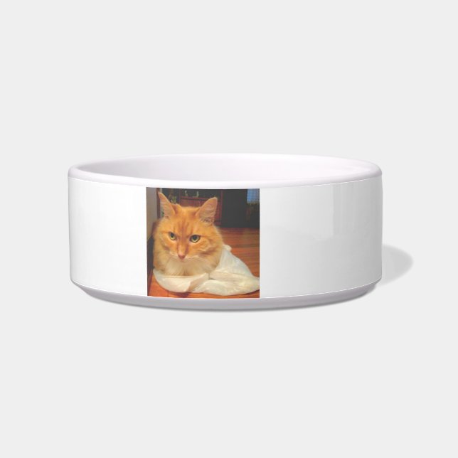 Orange Tabby Bowl (Left)