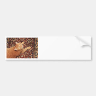 Orange Tabby Bumper Sticker