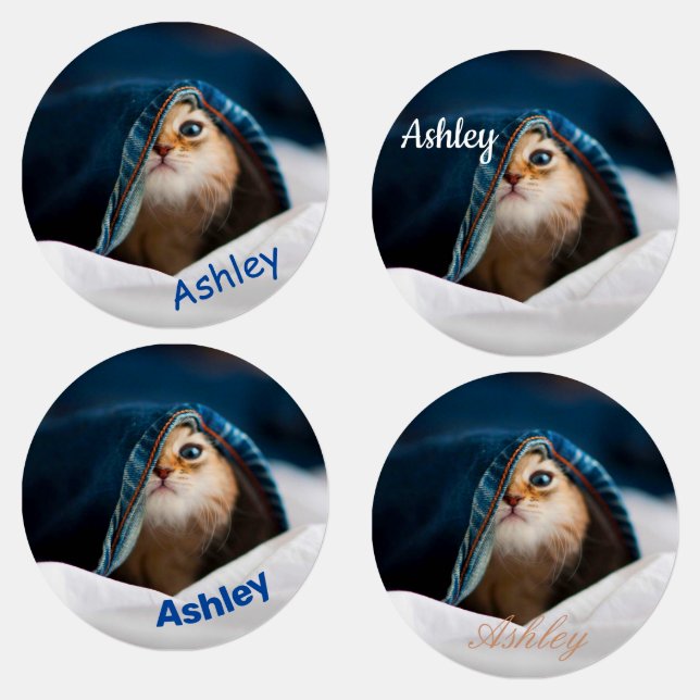 Orange Tabby Cat (Group)