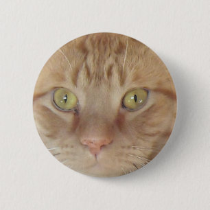 Orange Tabby Cat 6 Cm Round Badge
